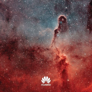 欧美精品在线免费
